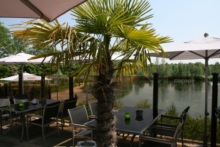 Terras Steakhouse Buenos Geldrop 2